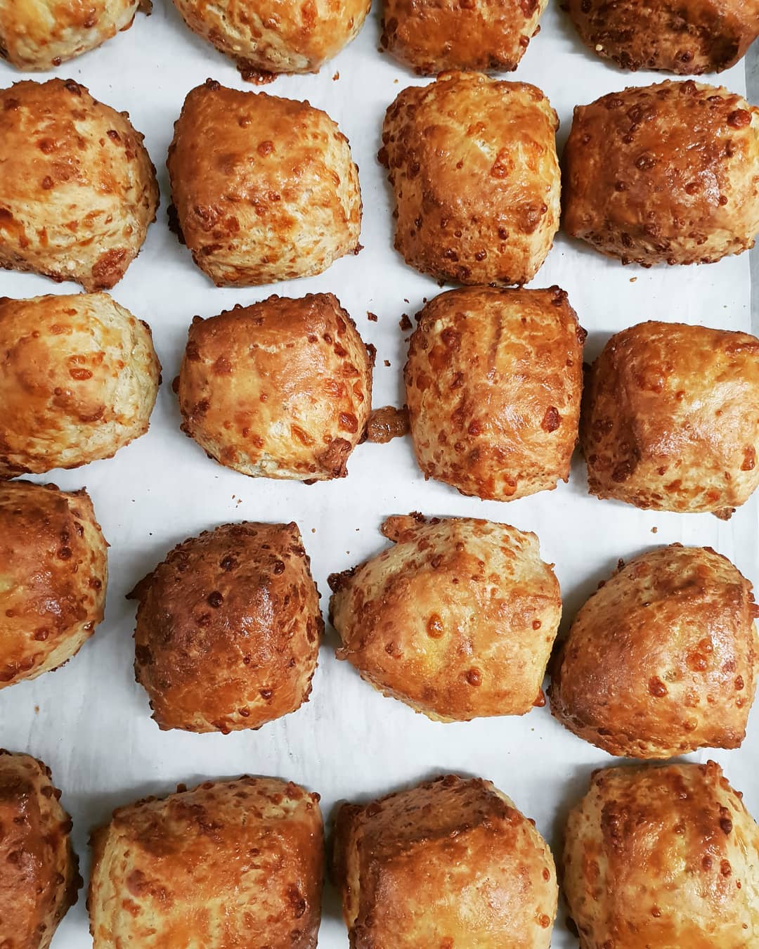 Cheese Scones (Wairarapa Delivery Only) image 0