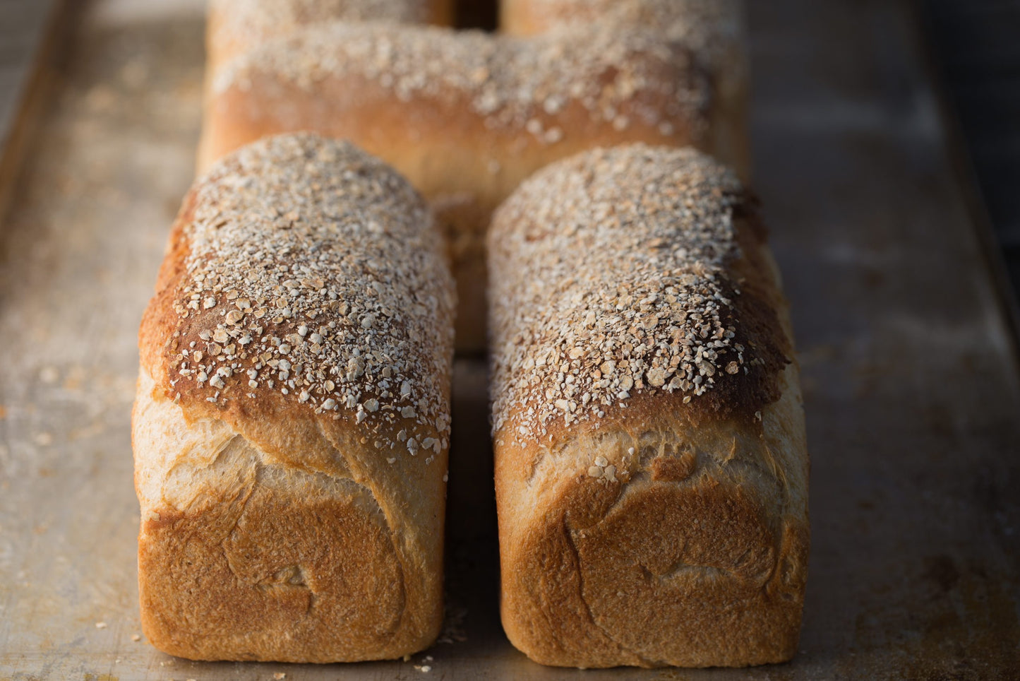 Honey Wheat Loaf (Wairarapa delivery only) image 0