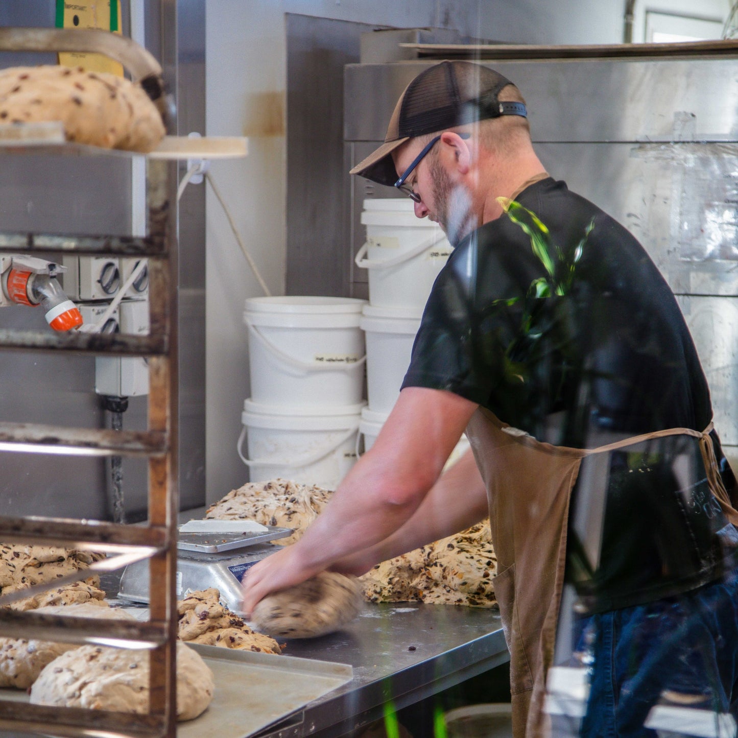 Hot Cross Buns 6 Pack image 4