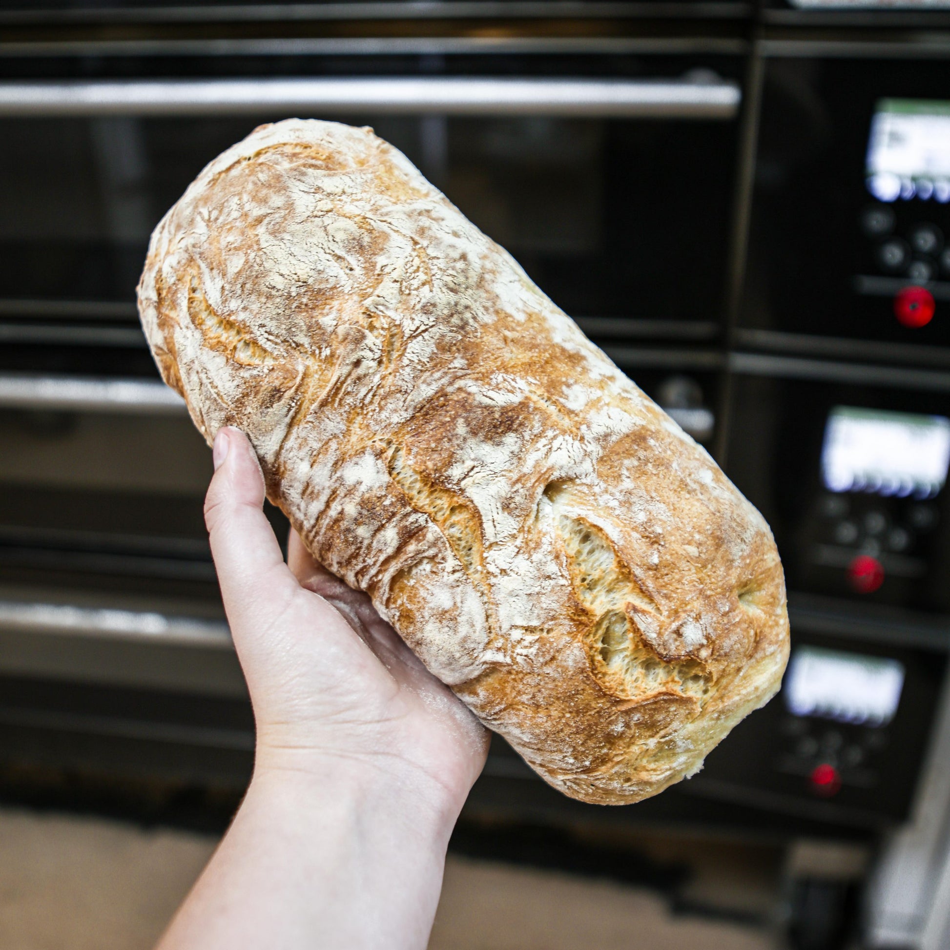 Ciabatta (Wairarapa delivery only) image 0