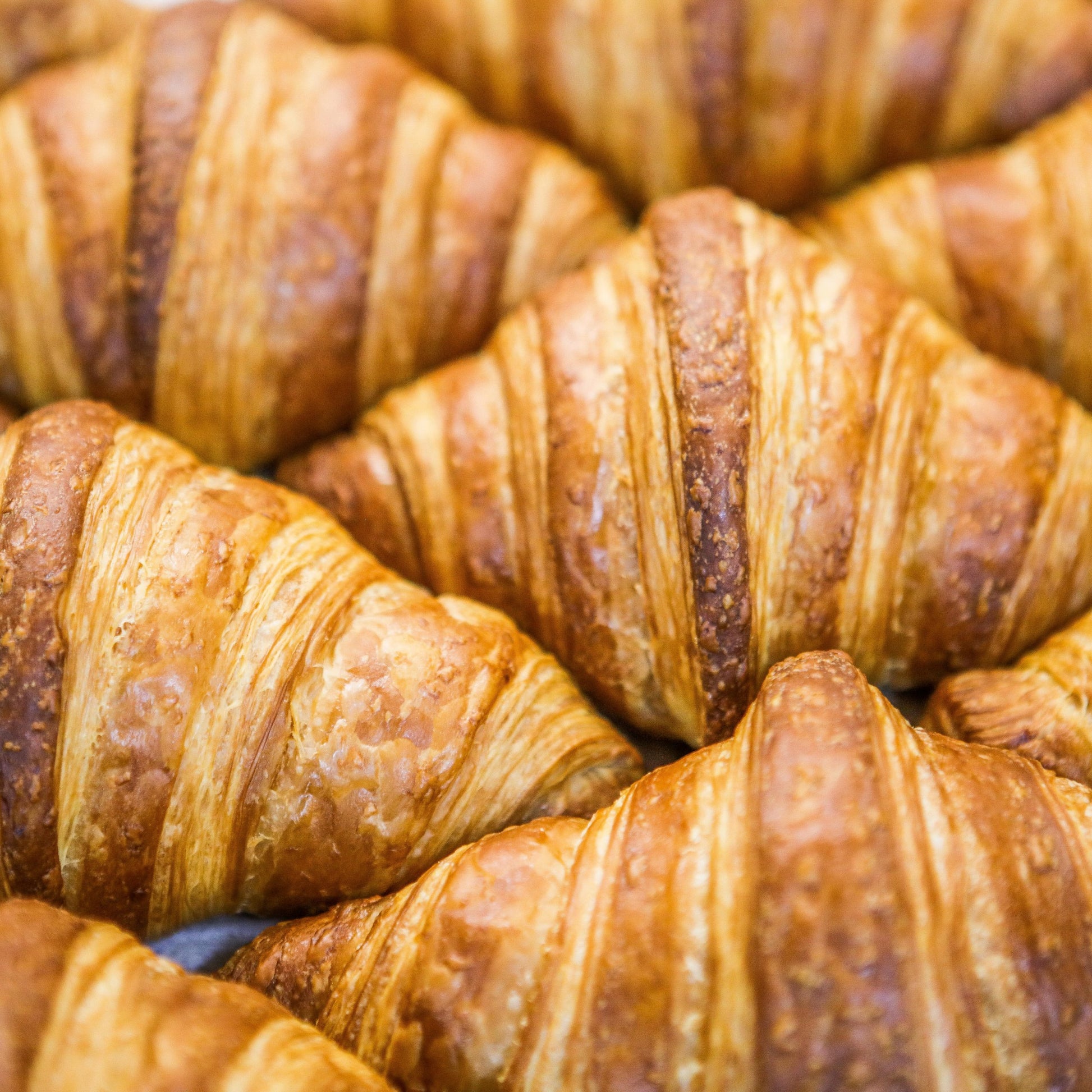 'Award Winning' Freshly Baked Croissants (4 pack) image 3